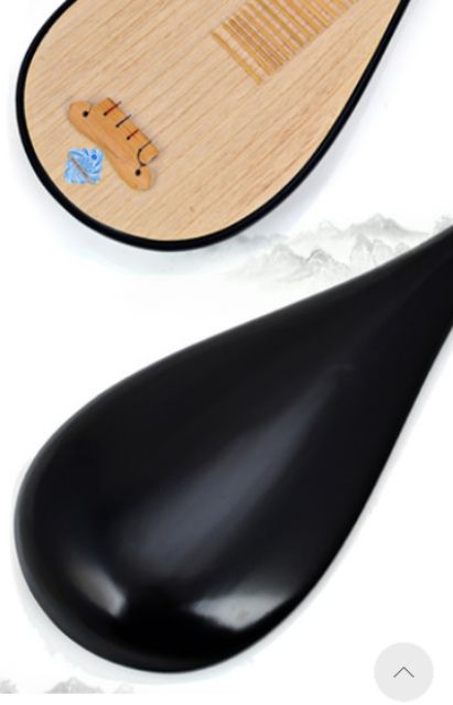 Đàn tỳ bà trung quốc