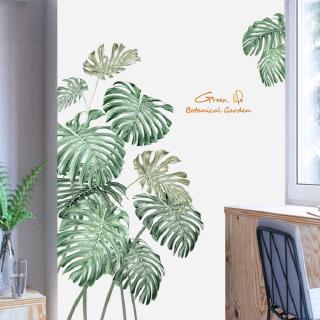 Decal Dán Tường Hình Cây Nhiệt Đới