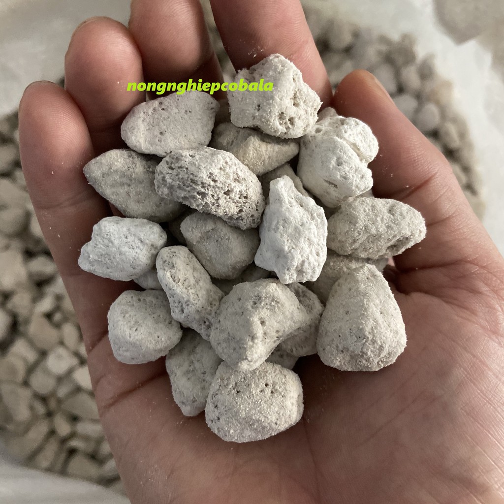 Đá Bọt Pumice Trồng Cây, Hoa Kiểng (1kg)