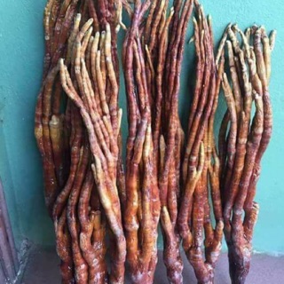 Nấm Linh Chi Đỏ Sừng Hươu | Hàng Tuyển Loại 1 | Gói 500gr