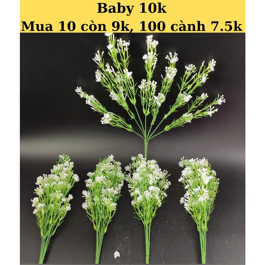 Cành baby trang trí