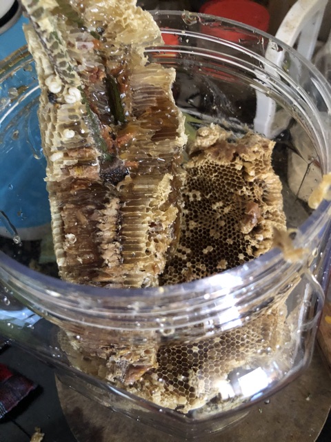 1kg mật ong rừng nguyên tổ ( ong ruồi)