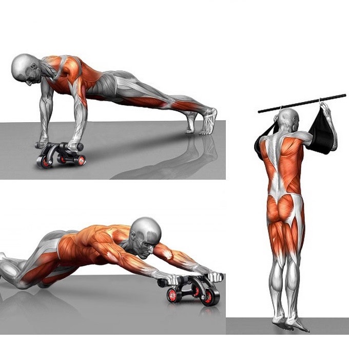 Con Lăn Tập Cơ Bụng 4 Bánh Tại nhà Giúp Cơ Bụng Săn Chắc