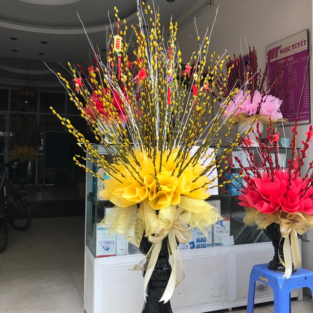 CHẬU NỤ TẦM XUÂN
