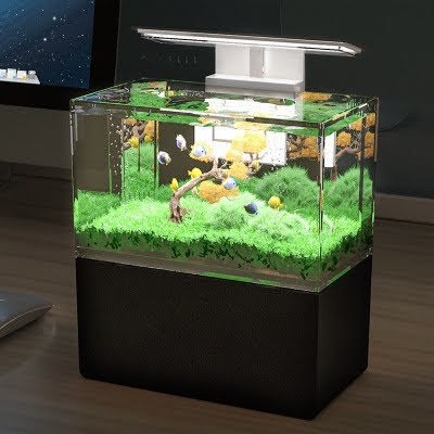 Bể cá acrylic mini thủy sinh để bàn làm việc