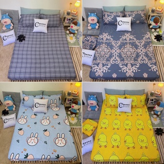 Bộ Ga Chun Kèm 2 Vỏ Gối Cotton Poly - Nhiều Mẫu lựa Chọn CA Bedding Decor