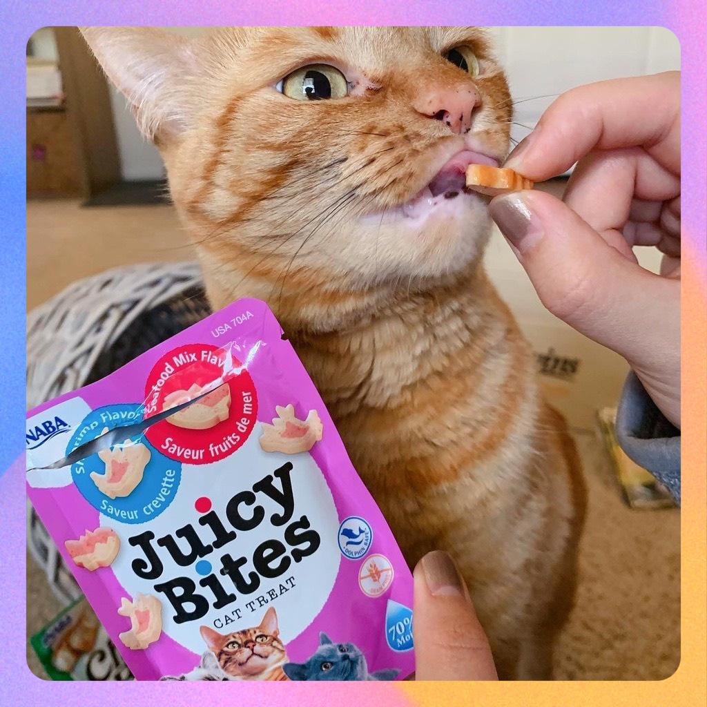 Bánh thưởng mềm Inaba Juicy Bites cho mèo gói 11,3g