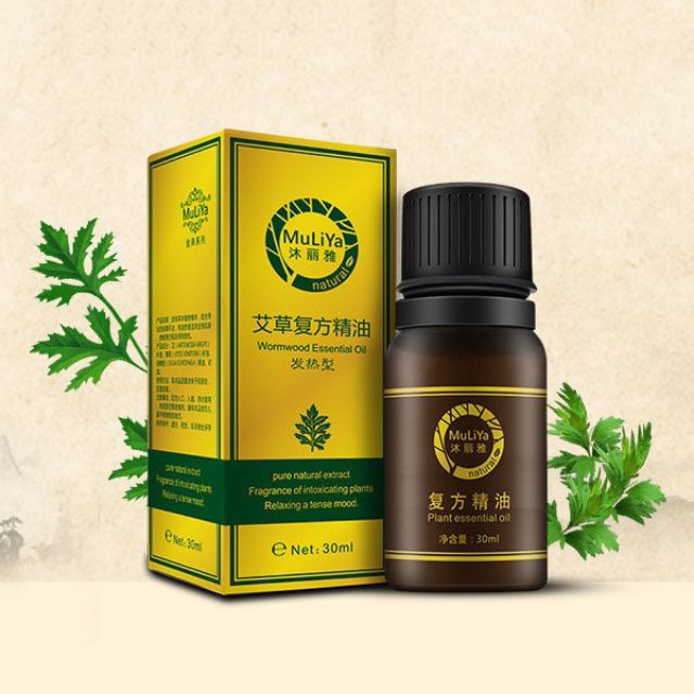 TINH DẦU massage body tinh chất NGẢI CỨU thư giản cơ thể - tiêu trừ ĐAU NHỨC