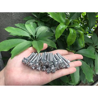 Bộ ốc lóc 24 con salaya- inox cho winner 150- x.
