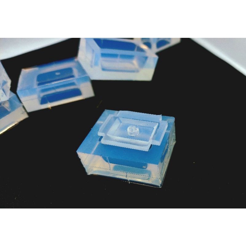Khuôn silicon làm keycap profile SA cực bóng , có tặng cá.
