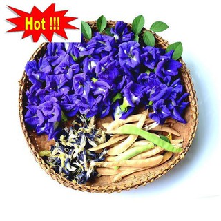 20 Hạt giống Hoa Đậu Biếc (Dễ trồng)