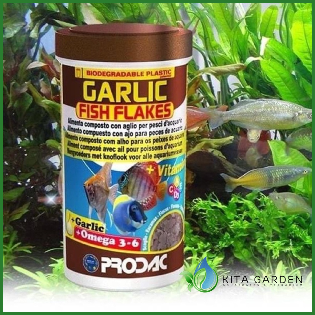 Thức ăn cá dạng mảnh giàu tỏi Prodac Garlic Fish Flakes Hủ 20gr - 50gr | Hàng Cao Cấp Nhập Khẩu Từ Ý