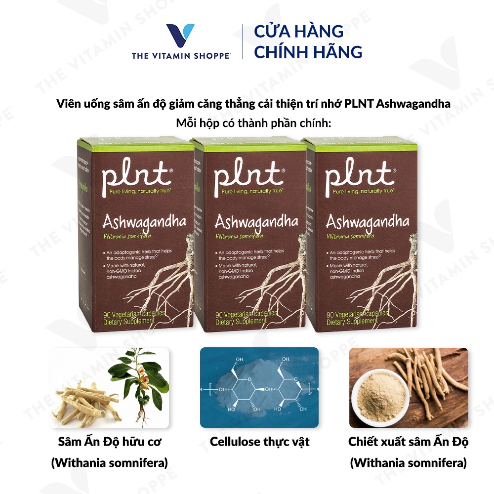 Viên uống sâm ấn độ giảm căng thẳng cải thiện trí nhớ PLNT Ashwagandha 90 viên