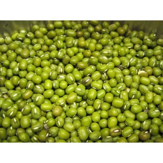 Đậu xanh hạt làm giá đỗ