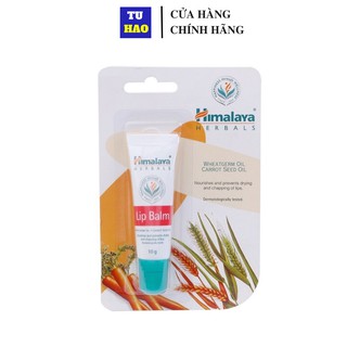 Date 05/2021 Son dưỡng môi chiết xuất cà rốt Himalaya Lip Balm 10g