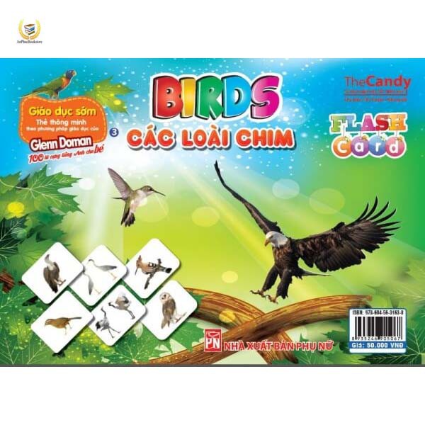 Flashcard Dạy Trẻ Theo Phương Pháp Glenn Doman - Các Loài Chim