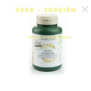Hoa anh thảo Pháp Nat Form 200v