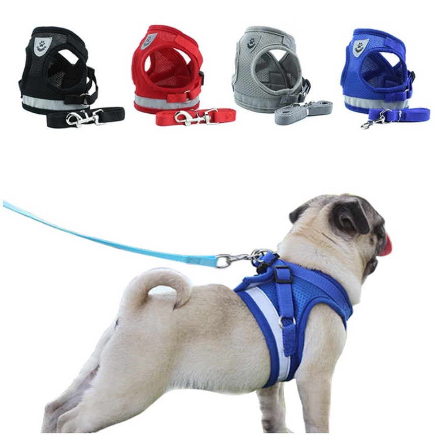 Bộ đai đeo ngực và dây dắt đi dạo màu sắc phản quang thông thoáng dành cho cún bulldog chihuahua pugdog