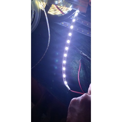Đèn Led dây 12v chip led 5050 dài  5m màu Trắng lạnh