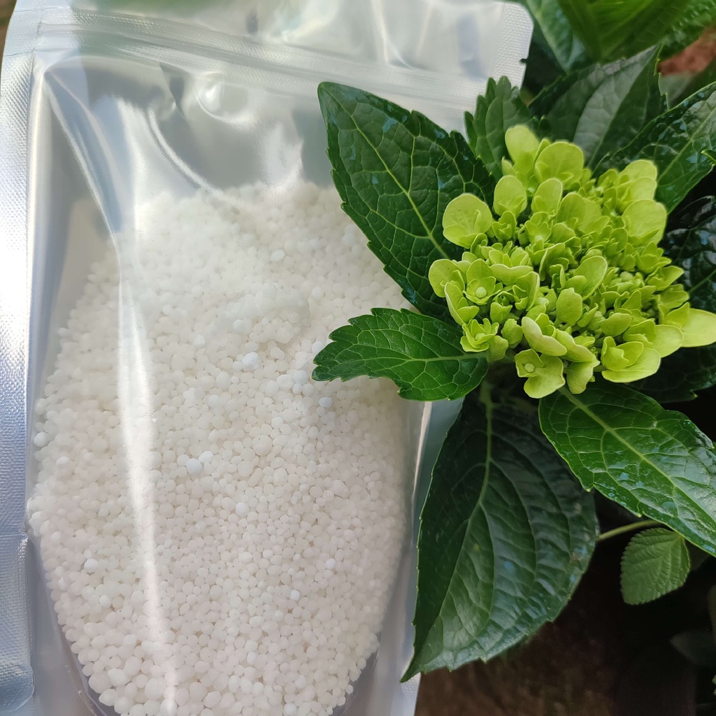 Phân Bón Cho Hoa Hồng, Phân Canxi, Phân Bón Cây Cảnh, Phân Bón Hoa Giấy