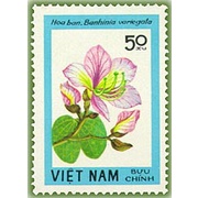 Tem sưu tập MS 435 Tem CTO Việt Nam Hoa rừng 1984 ( 7 tem ).