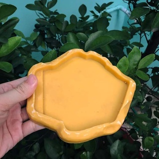 Chén ăn và máng nước cho Rùa và bò sát.
