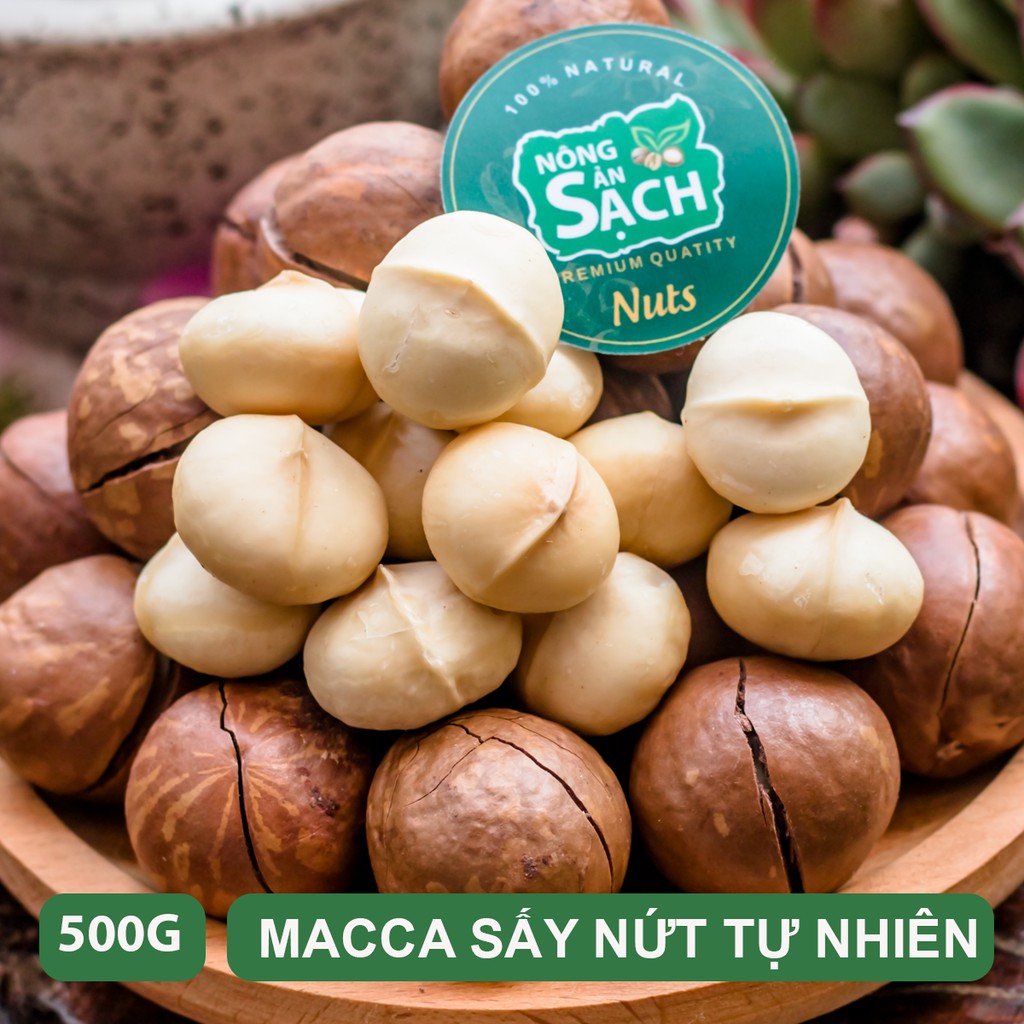 500g Hạt Macca Sạch Di Linh Lâm Đồng size VIP