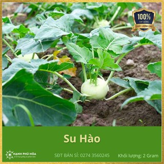 Hạt giống Su Hào SV WHite Vienna 2g/Gói-Tỉ Lệ Nảy Mầm Cao, Thu Hoạch Quanh Năm,Ăn Ngon Ngọt, Tốt Cho Sức Khỏe