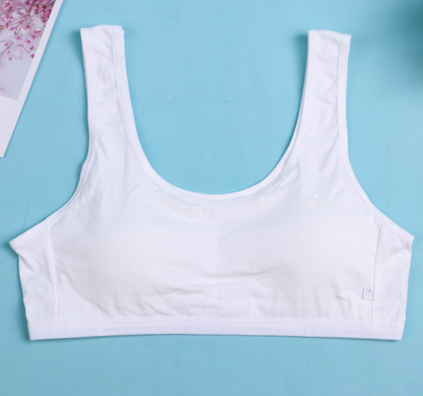 Bra / Áo Lá Nữ Sinh Cotton Tinh Khiết Xuất Đông ( AL : 204 ) Hàng Loại Đẹp.