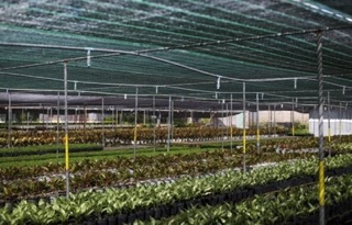 1 mét dài lưới đen che nắng khổ 2m