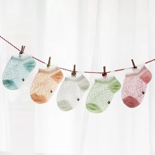 Set 5 đôi Vớ Lưới- Bobbi