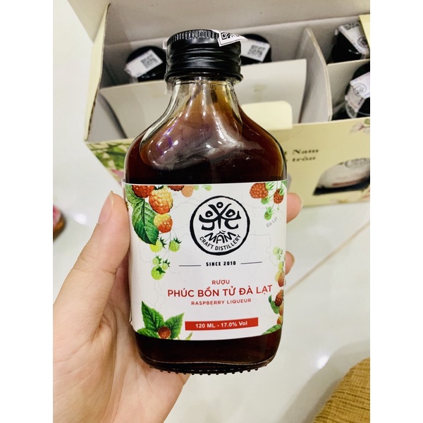 Mầm trái cây lên men 120ML