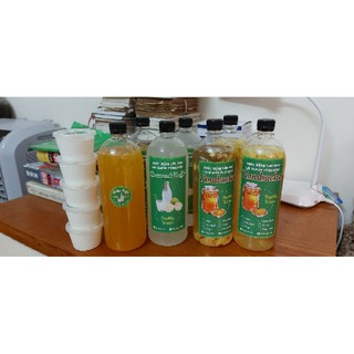 Nấm trà kombucha.