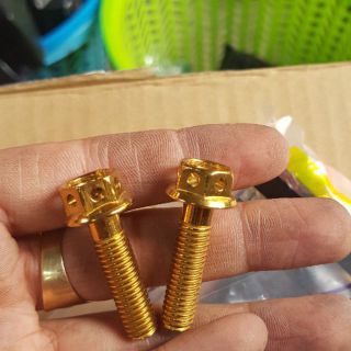 2 ốc heo dầu 8ly Lượm 79