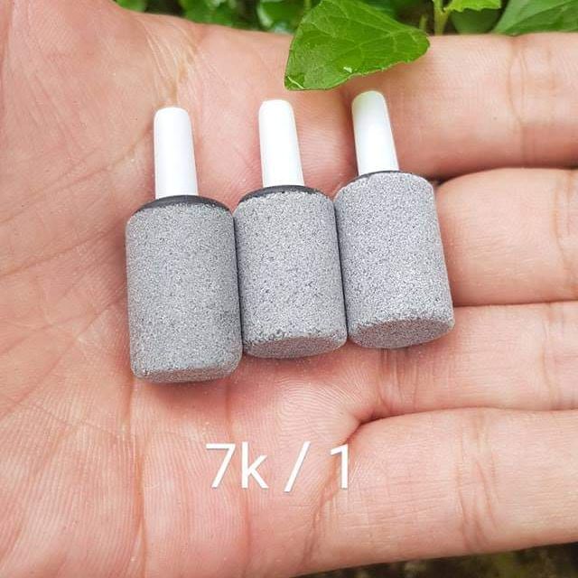 Sủi oxy dành cho lọc Taiwan