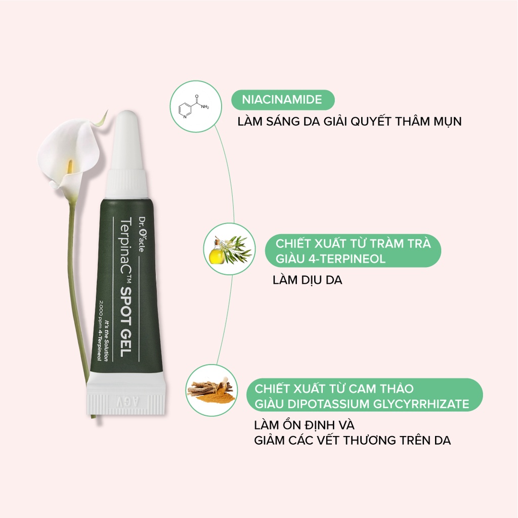 Gel Chấm Mụn DR.ORACLE TerpinaC Spot Gel 5g - Giảm Mụn Hiệu Quả Trong 48H