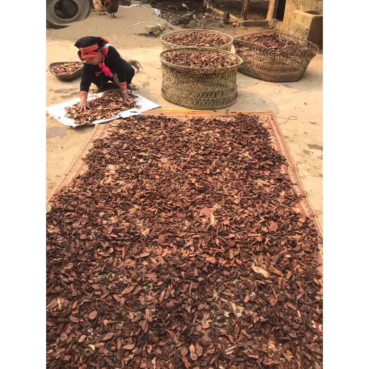 Cao hà thủ ô đỏ nguyên chất 100gram