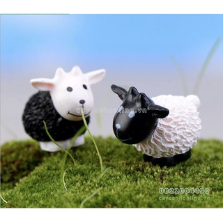 Cừu đen cừu trắng tượng con vật trang trí tiểu cảnh cây cảnh