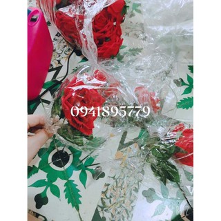 20 set bóng lồng hoa kèm que