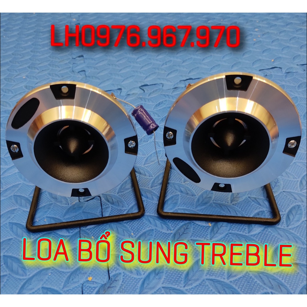 ĐÔI LOA BỔ SUNG TREBLE CÓ SẴN TỤ 3.3MF HÀNG CHUẨN