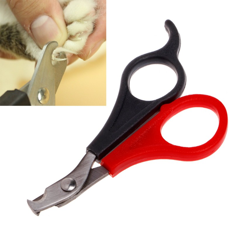 Kéo cắt móng chân cho chó & mèo