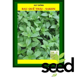 Hạt Giống Rau Quế 10 Gram