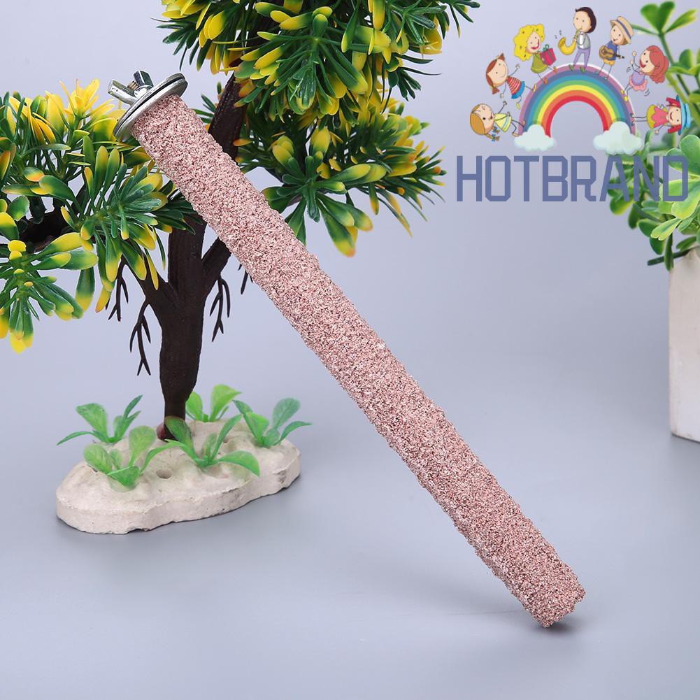 Giá đứng cho chim cảnh/vẹt nhiều màu sắc tùy chọn