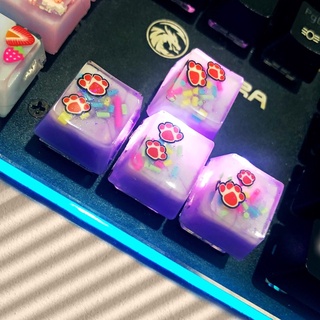 [ ORDER ] RESIN KEYCAP SPRINKLES CHÂN MÈO