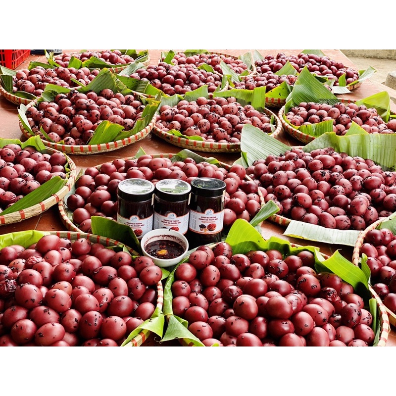 TẶNG KÈM 500ML NƯỚC ÉP CỐT BA TRĂNG KHÔNG BÃ -CỐT BA TRĂNG TRỨNG GÀ HẠ THỔ