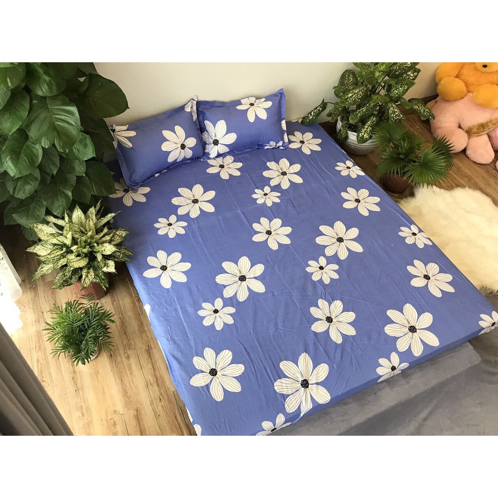 Bộ ga gối poly cotton Emmidecor (Được chọn mẫu)