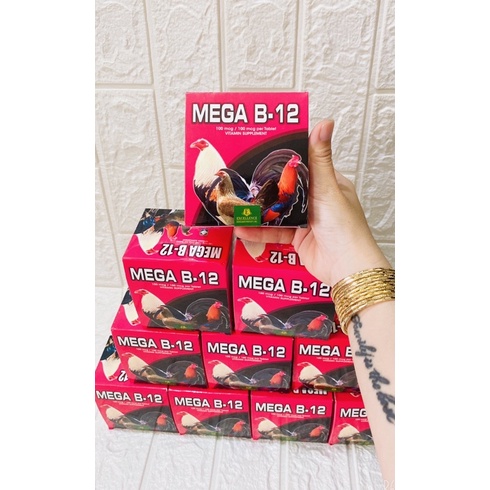 MEGA B12, hộp 100v