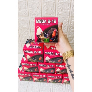 MEGA B12, hộp 100v