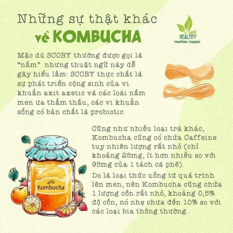 Trà lên men Kombucha trà đen Viethealthy 1 lít túi tiện lợi,tốt cho sức khoẻ, bổ sung lợi khuẩn Probiotic