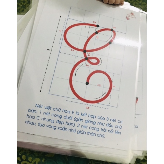 Bộ chữ hoa cỡ nhỏ